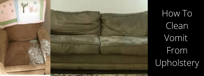 How to Clean Vomit from Upholstery