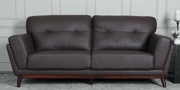 Leather Sofa Cleaning