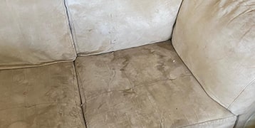 Couch Mould Removal